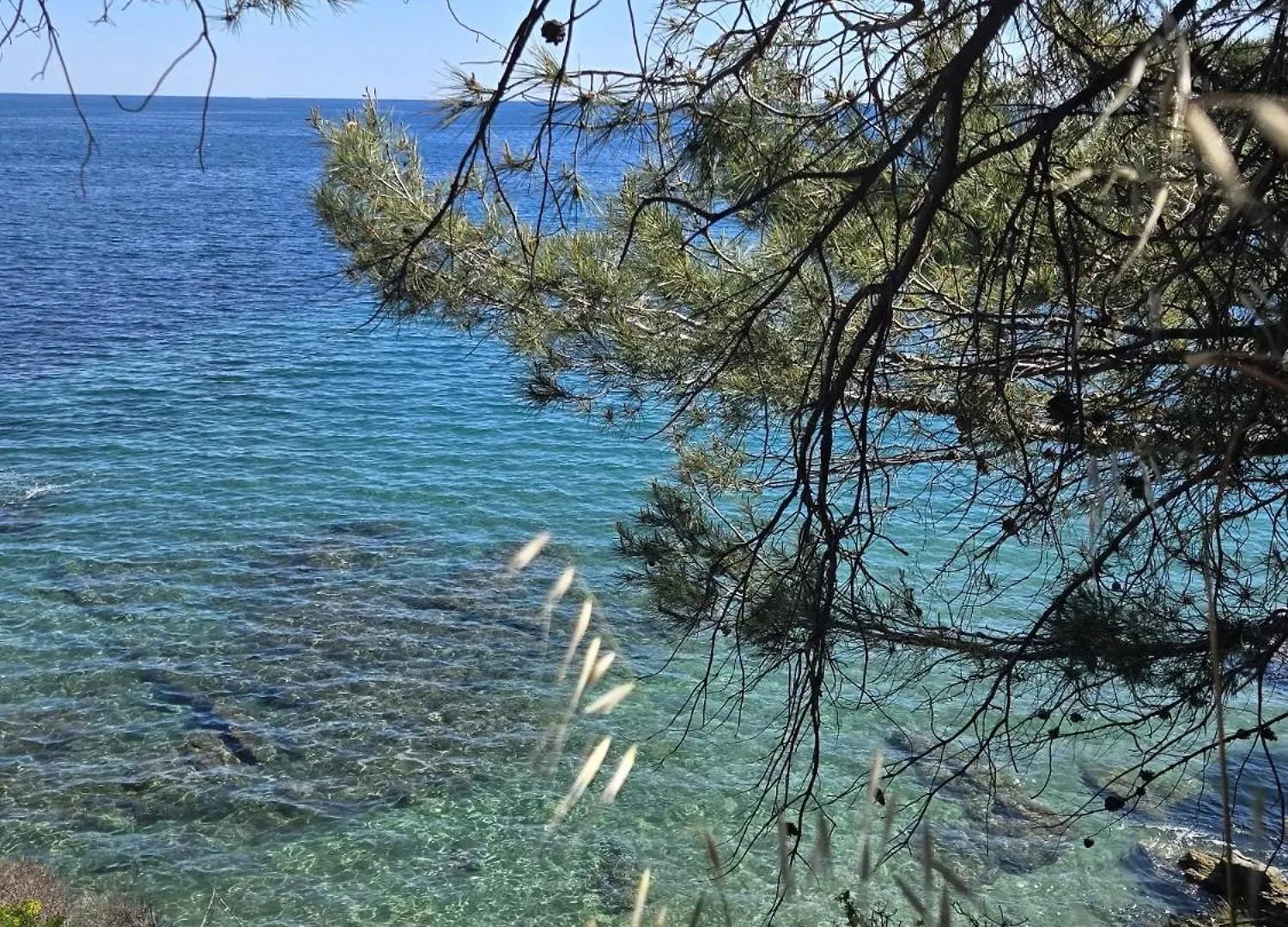 La Croix-Valmer, La Ferme, Le Vergeron, Entre Terre Et Mer Appartement La Croix-Valmer